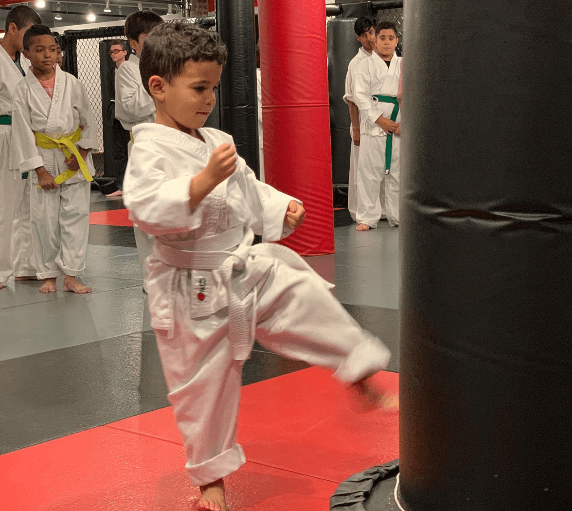 Little Pandas gallery 3